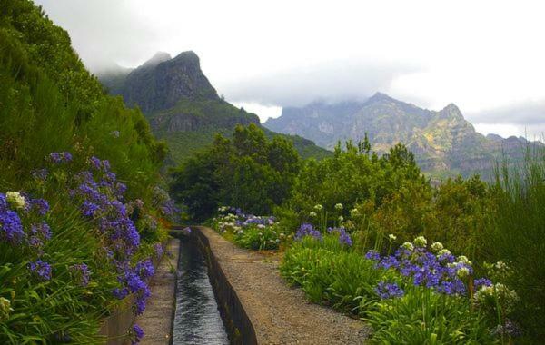 Machico Nature Machico (Madeira) Exterior foto